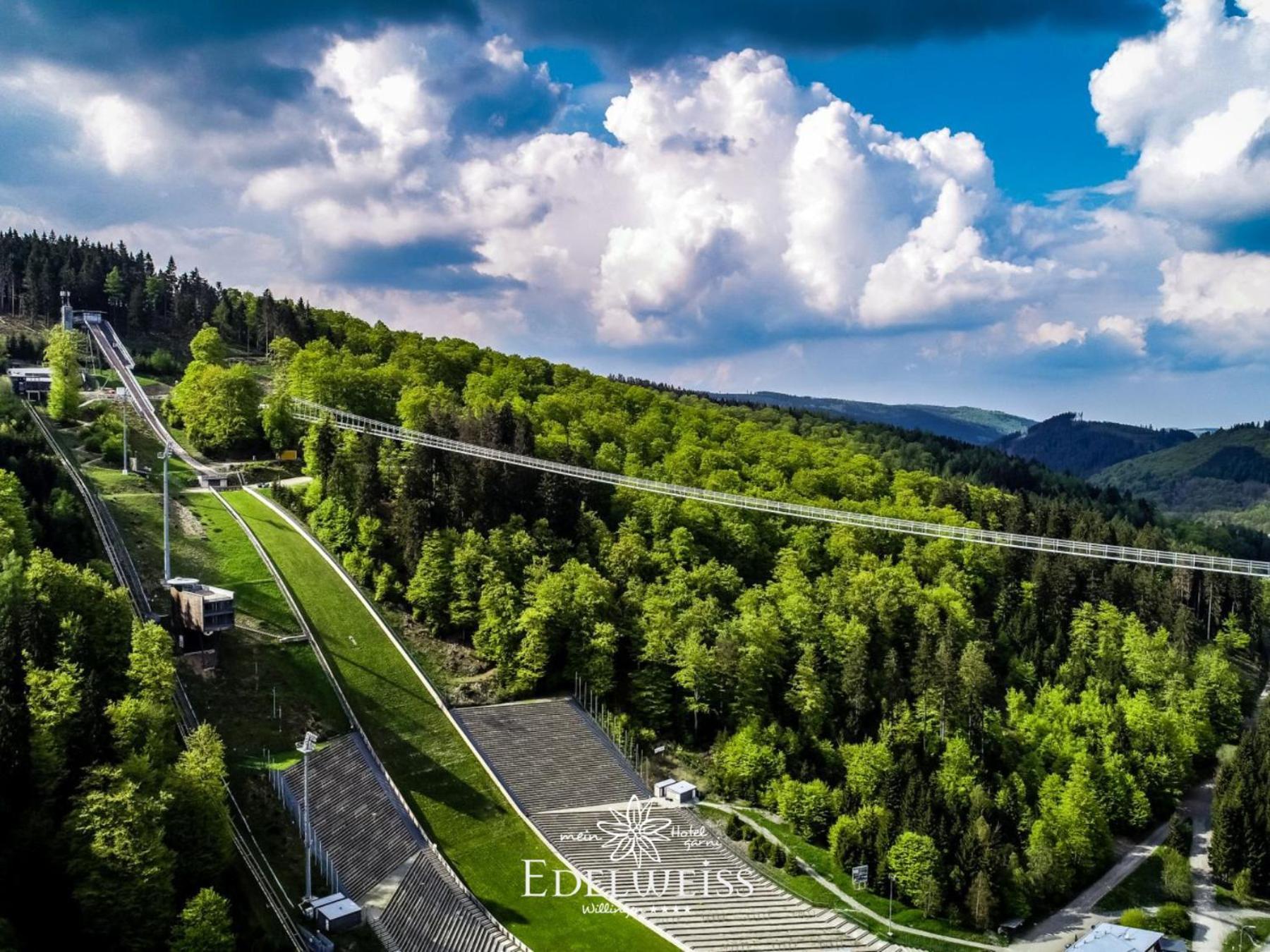 Hotel & Ferienappartements Edelweiss Willingen  Exterior photo